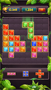 Block Puzzle Jewel Classic 스크린샷 0