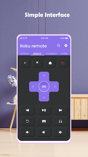 Remote Control for Roku TVs ဖန်သားပြင်ဓာတ်ပုံ 3