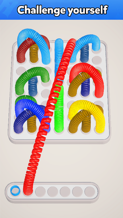 Slinky Jam 3D - Sort puzzle Screenshot 1