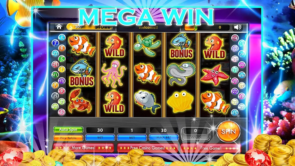 Dolphin Slots: Big fortune Zrzut ekranu 0