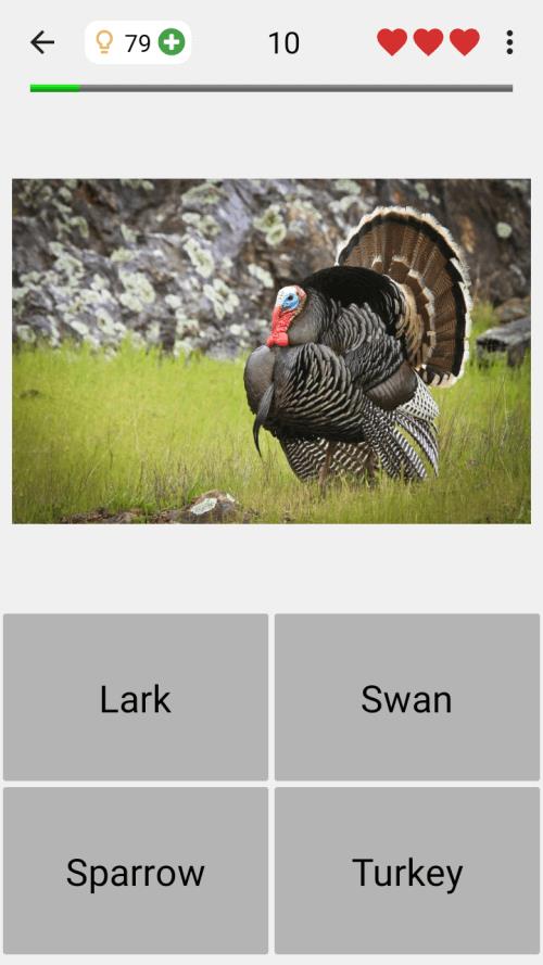 Animals Quiz Learn All Mammals Screenshot 3