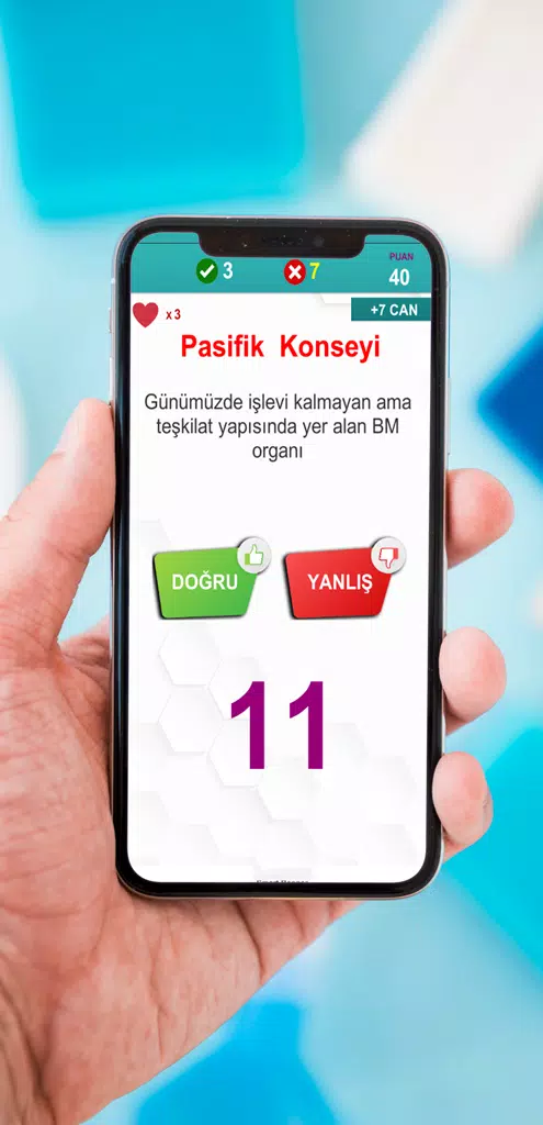 Bilgiseli Screenshot 1