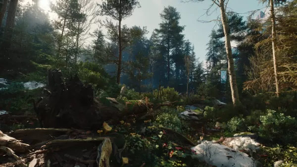 CD Projekt Addresses Witcher 4 Tech Demo Concerns