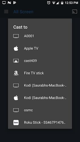 All Screen Cast to TV Roku Captura de pantalla 2