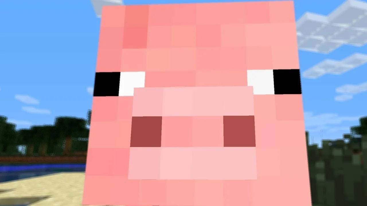 Where to Find Pigs Minecraft