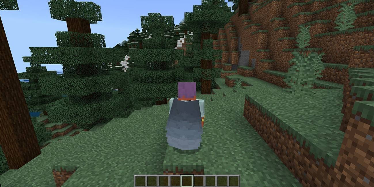 Elytra à Minecraft