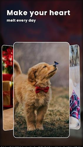 Puppy Love: Cute Dog Wallpaper ภาพหน้าจอ 2