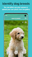 Dog Scanner: 犬種の識別 スクリーンショット 0