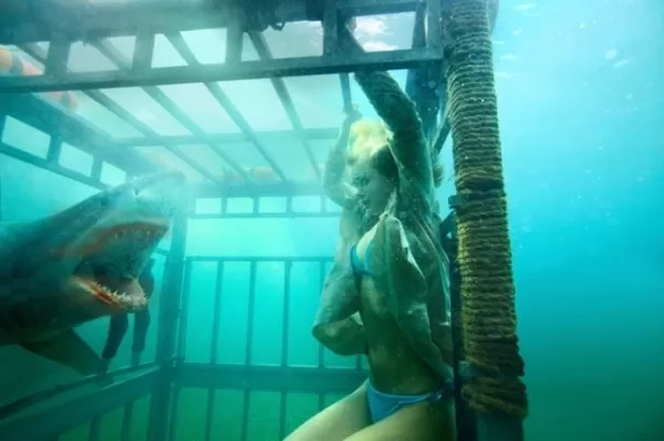 Shark ညရုပ်ရှင်ပိုစတာ