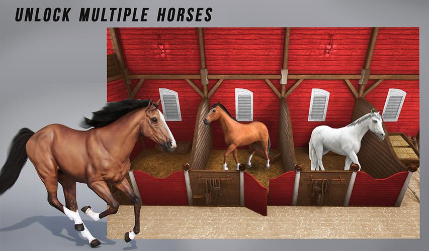 Horse Show Jump: Horse Games Screenshot 1