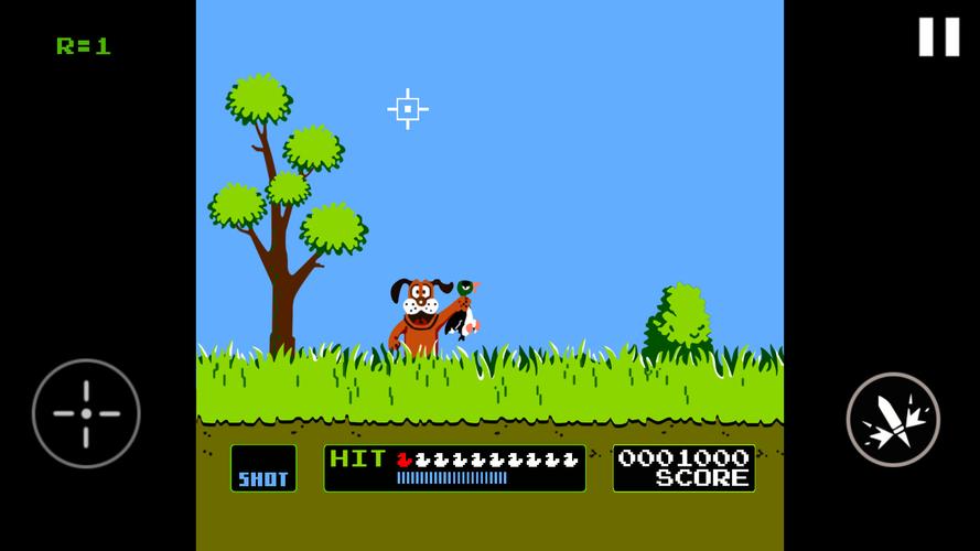 Duck Hunt スクリーンショット 1