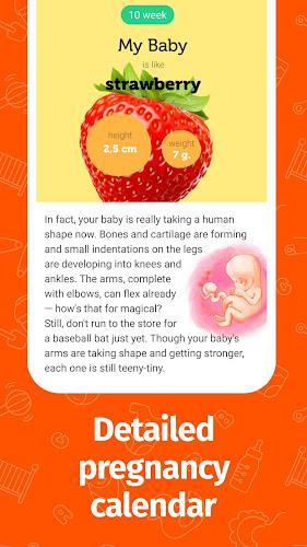 Pregnancy App and Baby Tracker Captura de tela 2