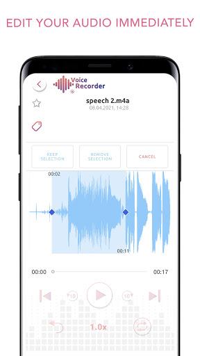 Voice Recorder and Editor App Tangkapan skrin 1