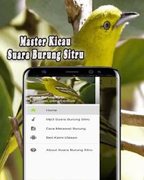 Suara Burung Sirtu Pikat MP3 Offline Zrzut ekranu 0