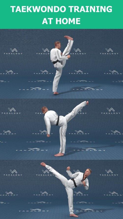 Mastering Taekwondo at Home Zrzut ekranu 1