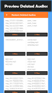 Deleted Audio Recovery Schermafbeelding 2