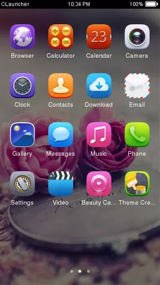 Pink Roses Theme C Launcher Screenshot 1