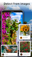 Search by image : lens Finder ภาพหน้าจอ 1