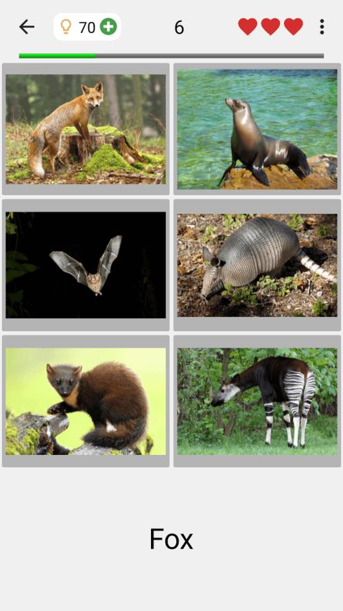 Animals Quiz Learn All Mammals Captura de tela 1