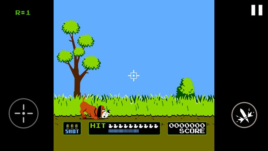 Duck Hunt スクリーンショット 3