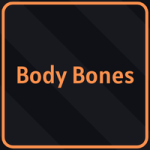 Body Bones from Ninja Time