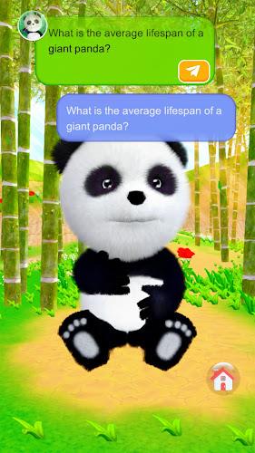 Talking Panda Schermafbeelding 1