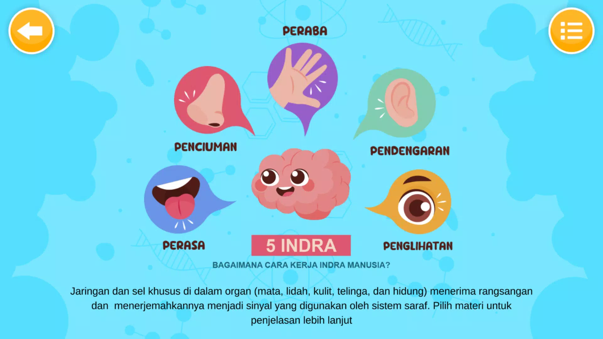 Sistem Indra Manusia Ekran Görüntüsü 1