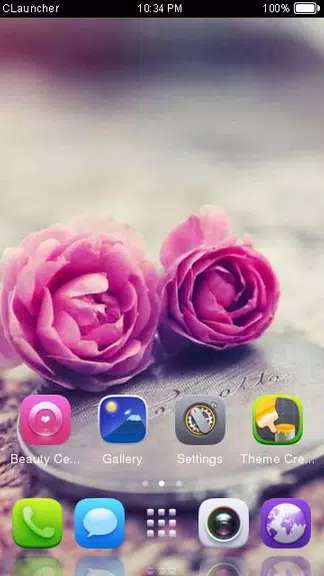 Pink Roses Theme C Launcher 螢幕截圖 2