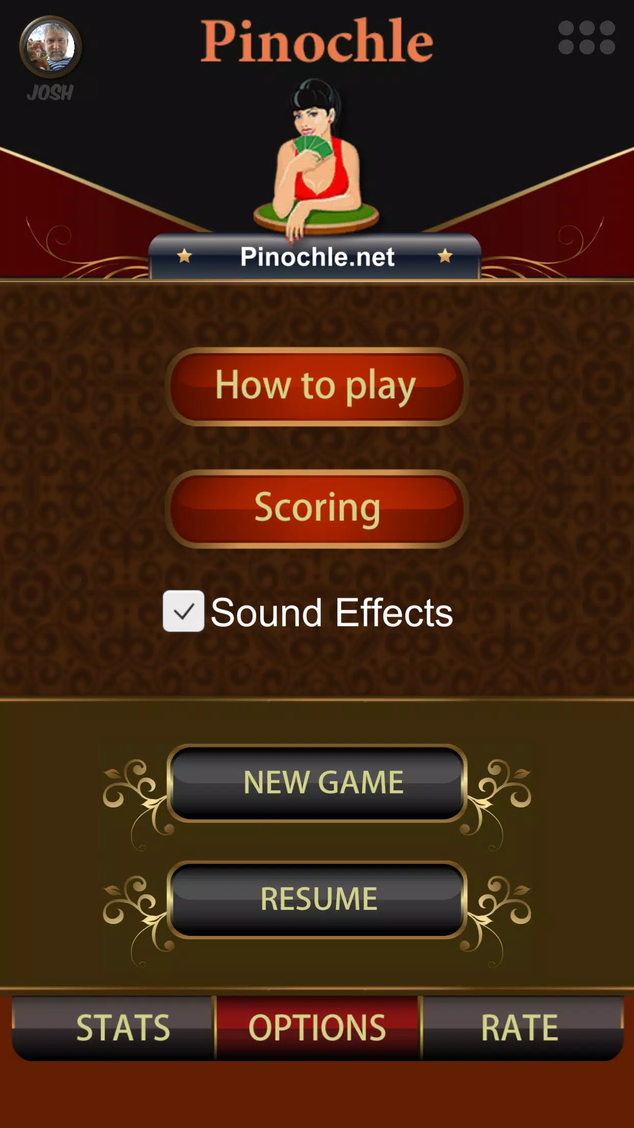 Pinochle Online ဖန်သားပြင်ဓာတ်ပုံ 1