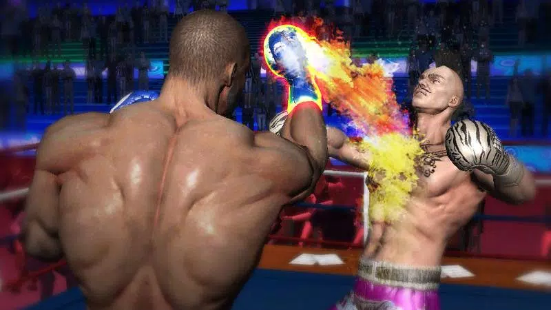 Punch Boxing 3D Captura de tela 3