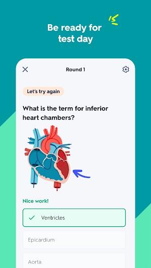 Quizlet mod apk Premium解鎖