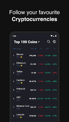 Hodler – Crypto Portfolio Captura de tela 0