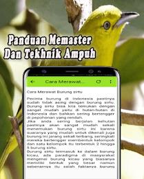 Suara Burung Sirtu Pikat MP3 Offline Captura de pantalla 3