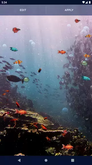 Ocean Fish Live Wallpaper 4K Скриншот 3