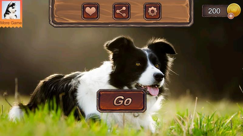 Border Collie Simulator Schermafbeelding 2