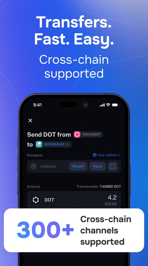 Nova Polkadot Wallet Ekran Görüntüsü 3