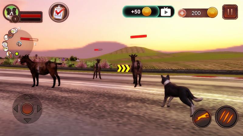 Border Collie Simulator Schermafbeelding 1