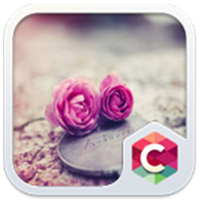 Pink Roses Theme C Launcher