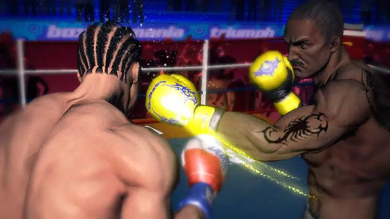 Punch Boxing 3D Captura de tela 1