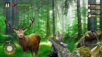 Wild Animal Hunting Games ဖန်သားပြင်ဓာတ်ပုံ 0