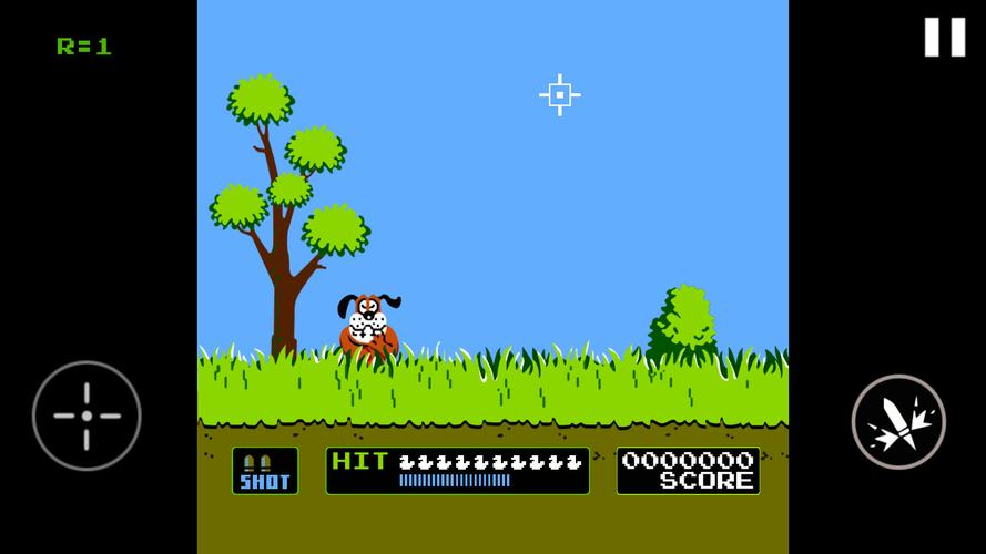 Duck Hunt ဖန်သားပြင်ဓာတ်ပုံ 0