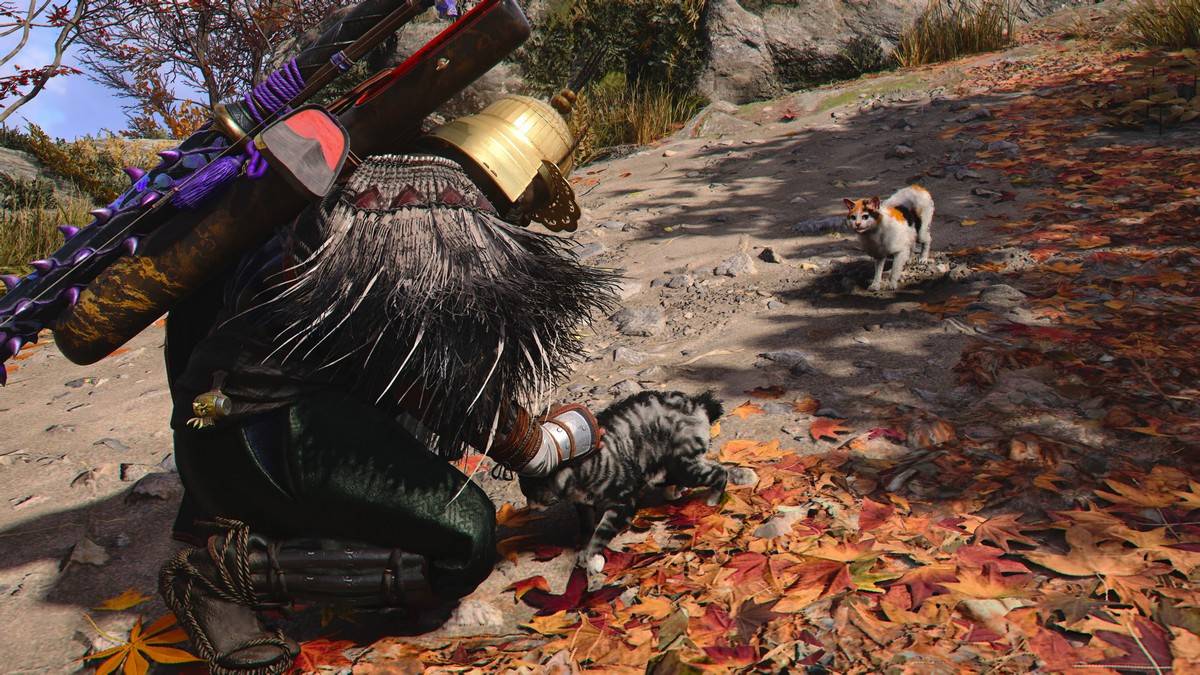 Descubra a Ilha Cat em Assassin's Creed Shadows: Location Guide