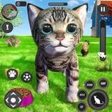 Pet Cat Simulator Cat Games