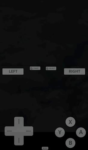 Fast DS Emulator - For Android 스크린샷 1