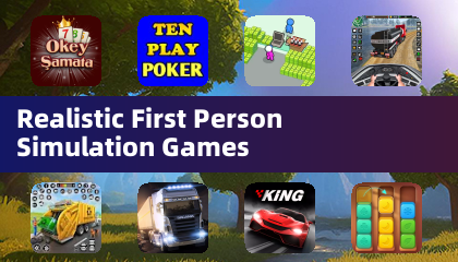 真实的第三人称模拟游戏